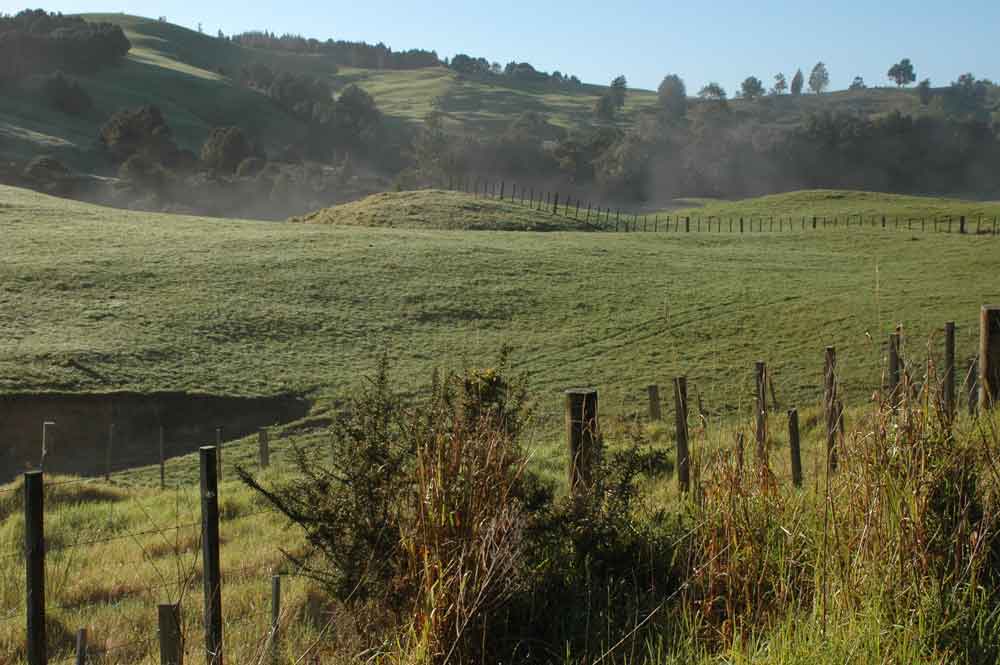 32 - Nueva Zelanda, paisaje